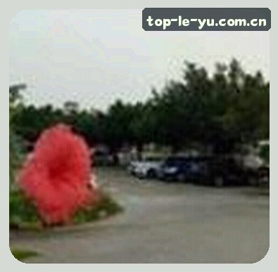 陈芳