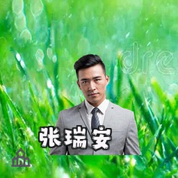 张瑞安